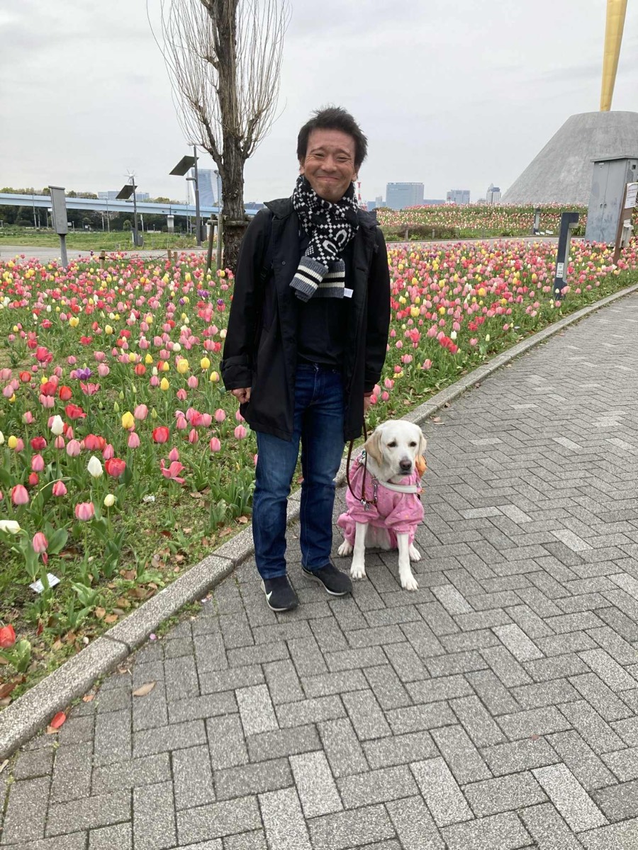 盲導犬シュクレとチューリップ畑